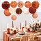 Wedding Decorations, 12 PCS Carmine Rust Orange Light Brown Tissue Paper Pom Poms and Lanterns for Rustic Classical Wedding, Baby Bridal Shower, Retro Party, New Year Party